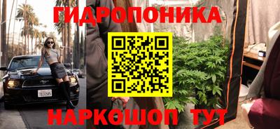 ПСИЛОЦИБИНОВЫЕ ГРИБЫ Волжск